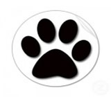 pet-shops-no-Itaim Paulista